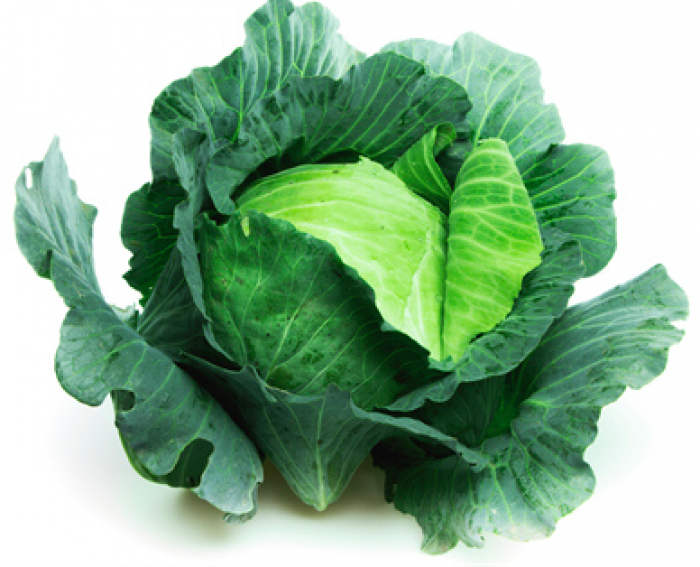 Cabbage - বাঁধাকপি