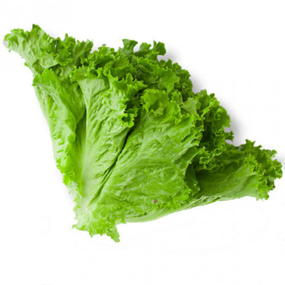 Lettuce -লেটুস