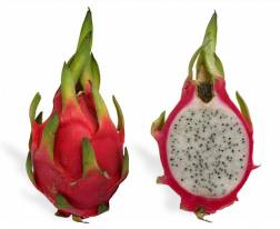 Dragon Fruits Thailand variety