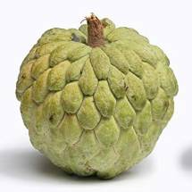 Custard Apple -  আতা