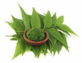 Organic Neem Leaves