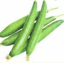 Sponge Gourd(নেনুয়া)