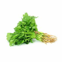 Organic Coriander Leaves