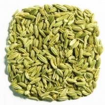 Organic Fennel Whole