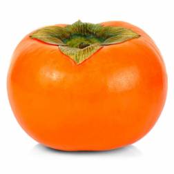 Fresh Persimmon