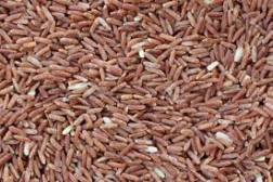 Organic Sona Masuri Brown Rice