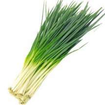 Spring Onion