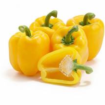 Fresh Yellow Capsicum